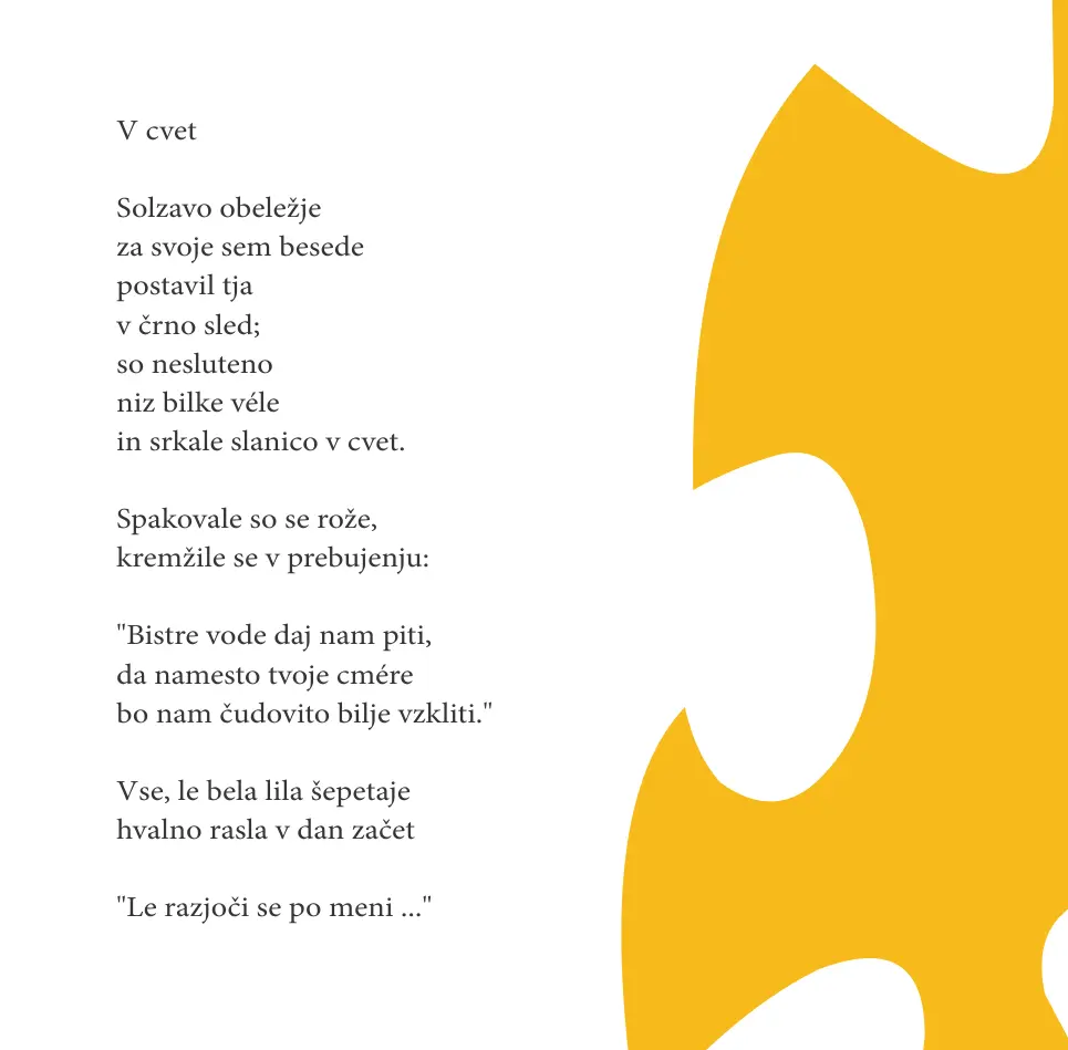 Manjkajoči člen – ovitek 6 od 19