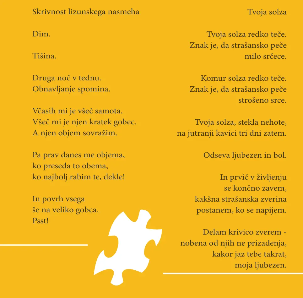 Manjkajoči člen – ovitek 10 od 19
