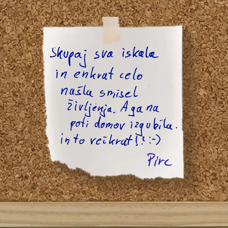 Vse cvetke in marjetke – ovitek 17 od 20