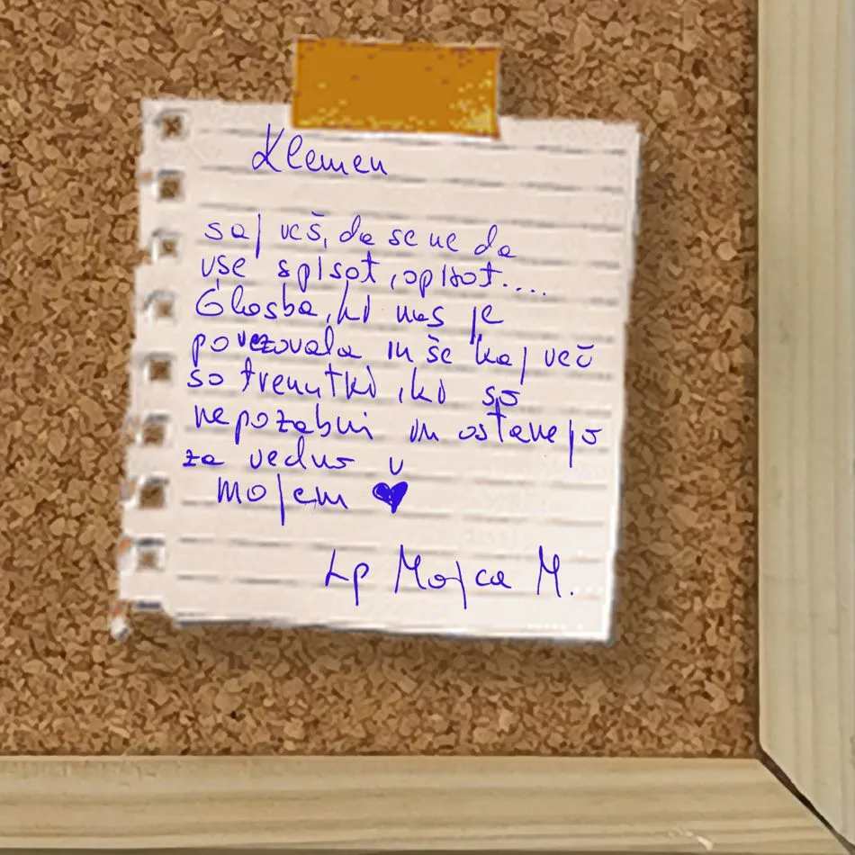 Vse cvetke in marjetke