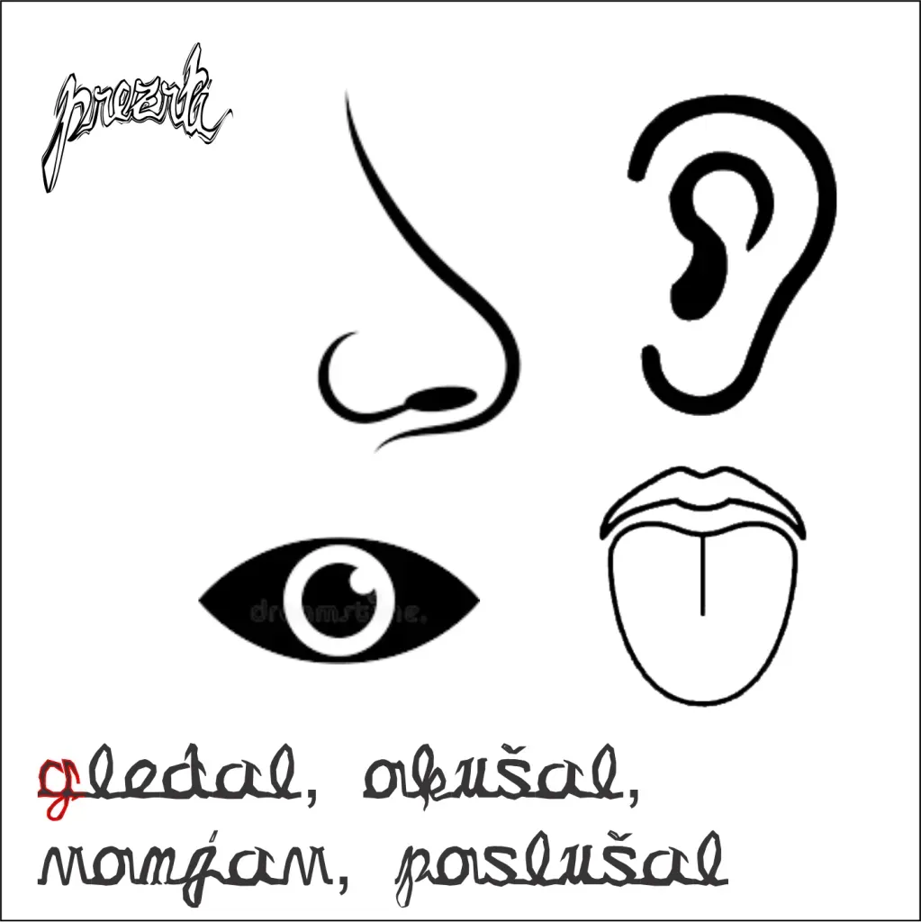 Gledal okušal vonjav poslušal - v živo na 10.letnici