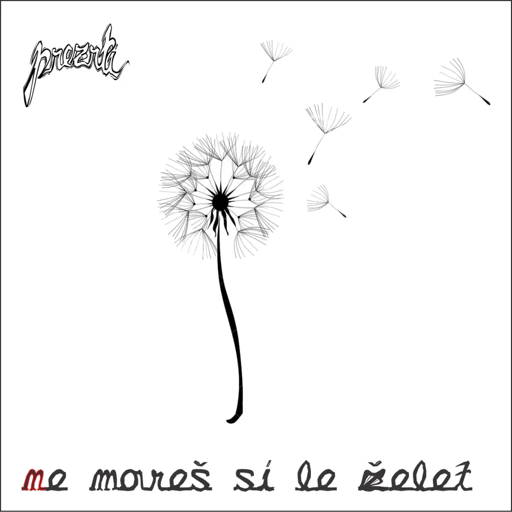 ne-mores-si-le-zelet