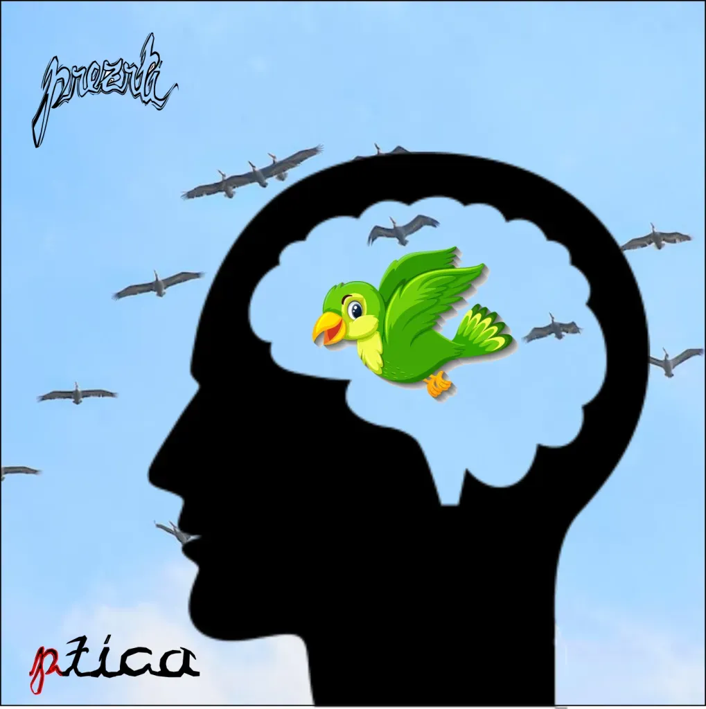 Ptica - v živo na 10.letnici