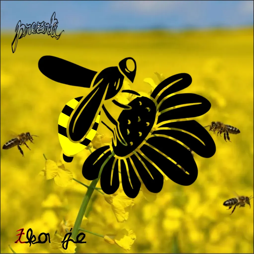 Tko je - v živo z Bele poroke