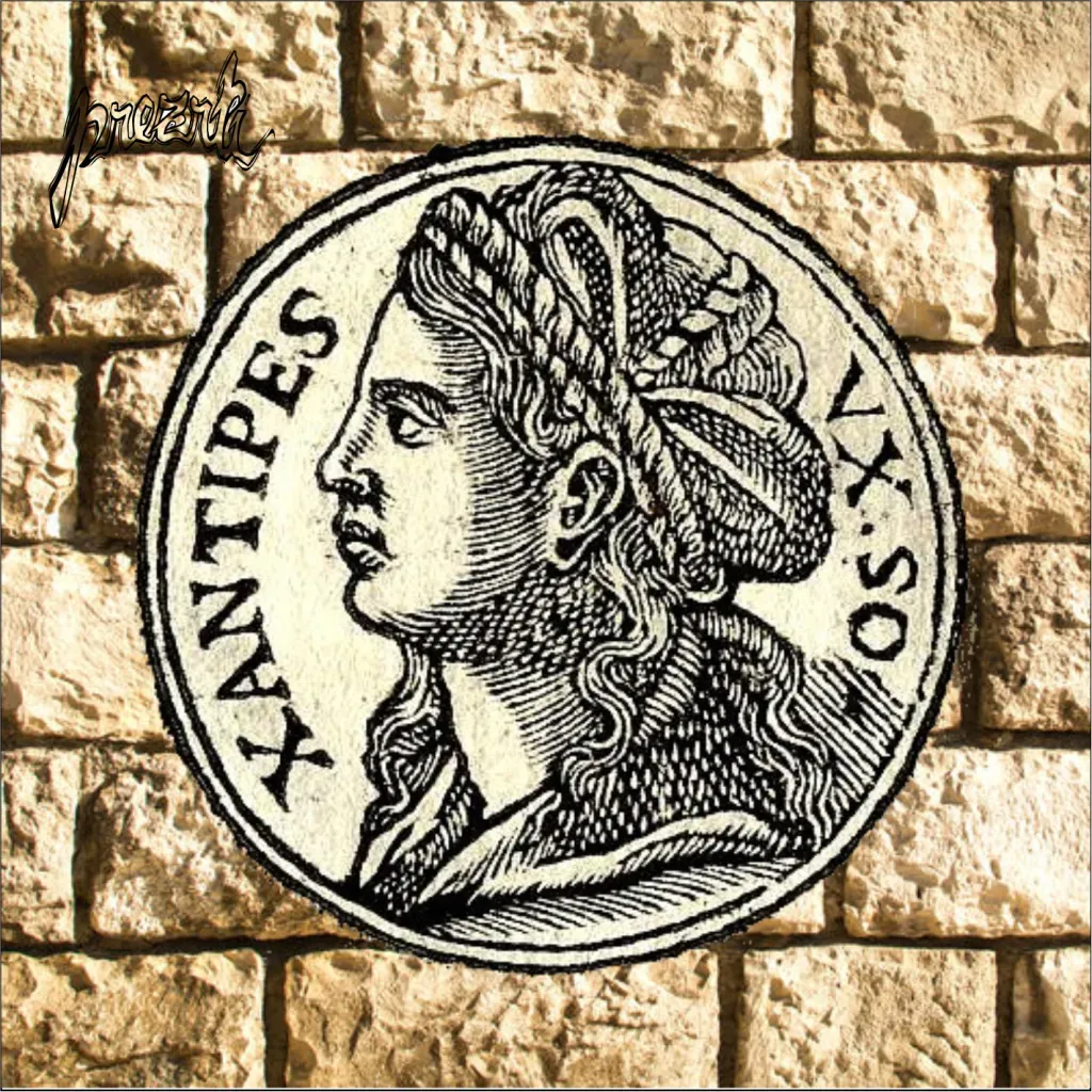 Xantipa - v živo z Bele poroke