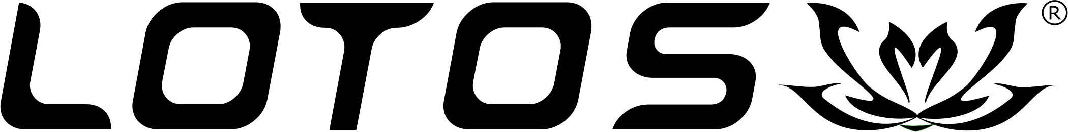 zunanji sodelovec LOTOS